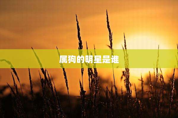 属狗的明星是谁