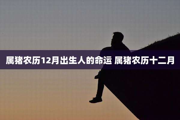 属猪农历12月出生人的命运 属猪农历十二月