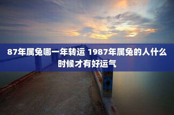 87年属兔哪一年转运 1987年属兔的人什么时候才有好运气