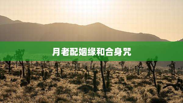 月老配姻缘和合身咒