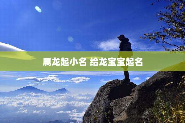 属龙起小名 给龙宝宝起名