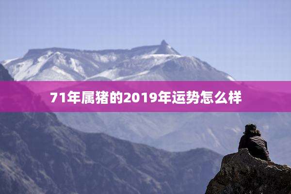 71年属猪的2019年运势怎么样