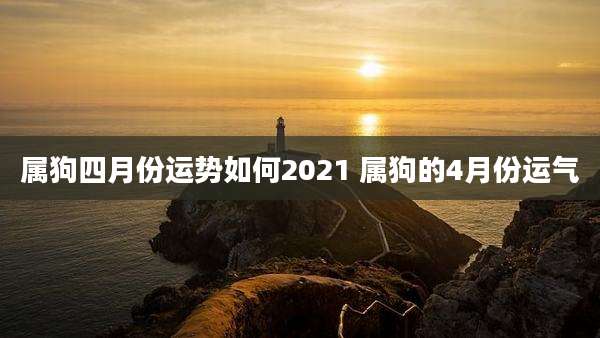 属狗四月份运势如何2021 属狗的4月份运气