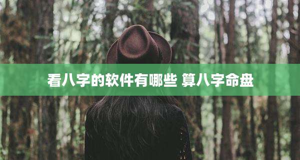 看八字的软件有哪些 算八字命盘