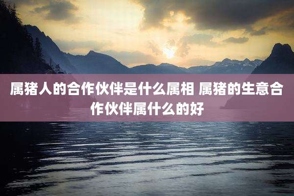 属猪人的合作伙伴是什么属相 属猪的生意合作伙伴属什么的好