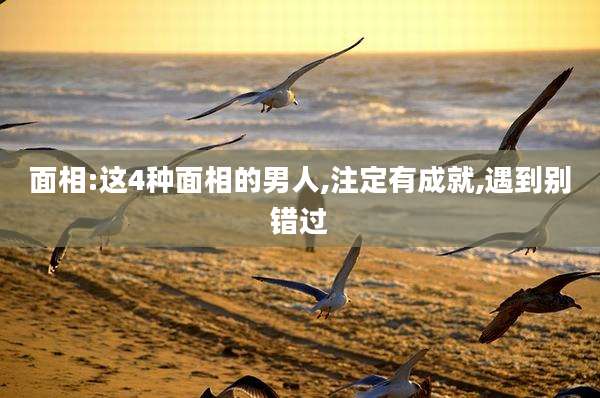 面相:这4种面相的男人,注定有成就,遇到别错过