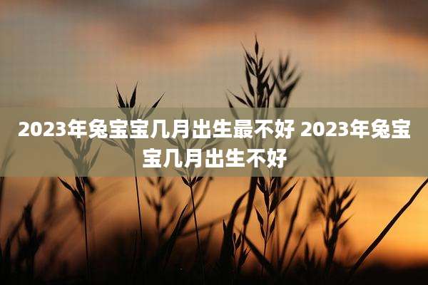 2023年兔宝宝几月出生最不好 2023年兔宝宝几月出生不好