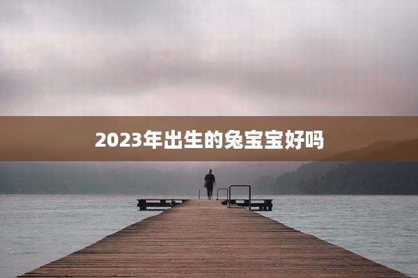 2023年出生的兔宝宝好吗