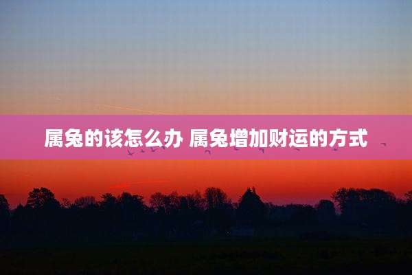 属兔的该怎么办 属兔增加财运的方式