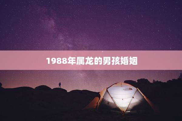 1988年属龙的男孩婚姻