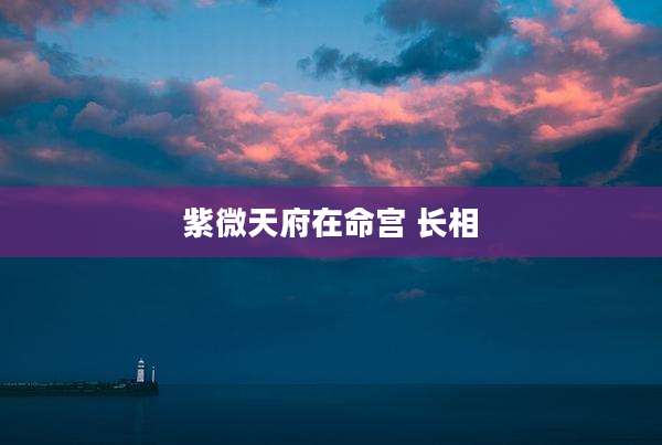 紫微天府在命宫 长相