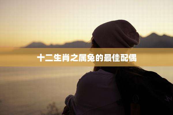 十二生肖之属兔的最佳配偶