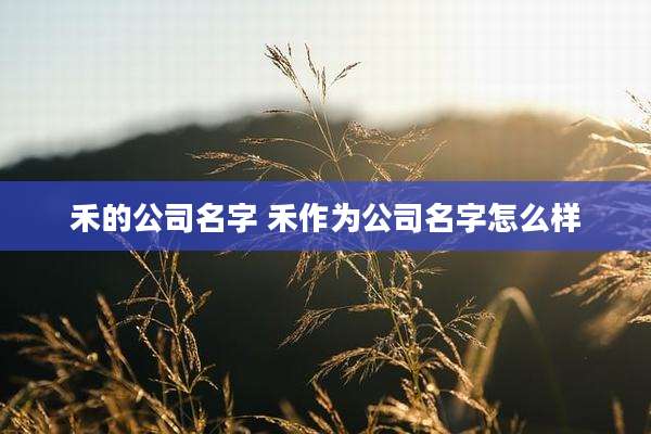 禾的公司名字 禾作为公司名字怎么样