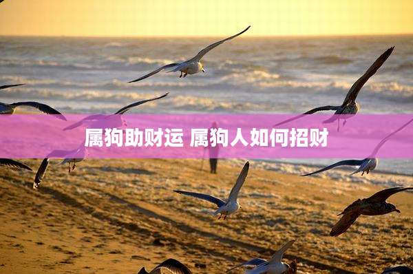 属狗助财运 属狗人如何招财