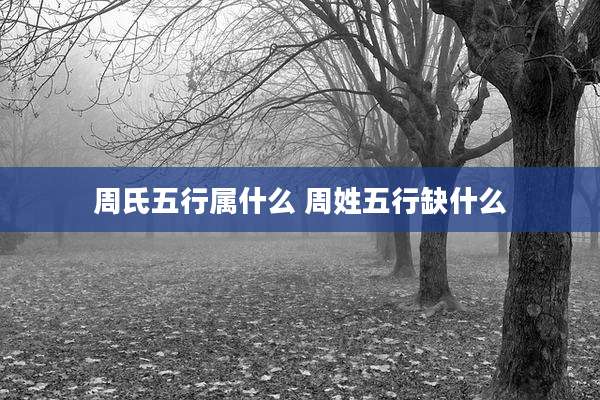 周氏五行属什么 周姓五行缺什么