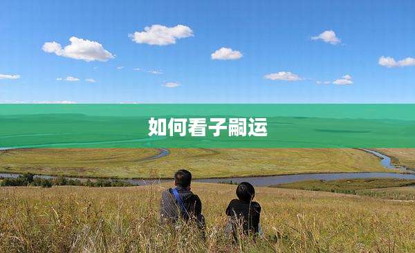 如何看子嗣运