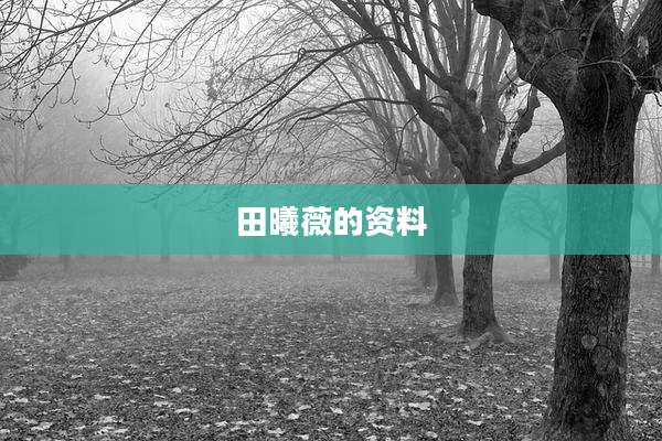 田曦薇的资料