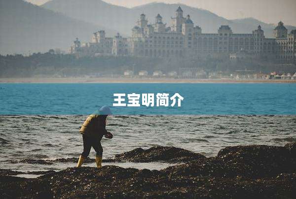 王宝明简介