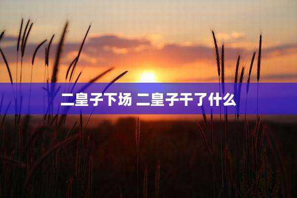 二皇子下场 二皇子干了什么