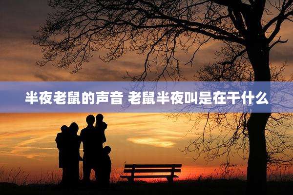 半夜老鼠的声音 老鼠半夜叫是在干什么