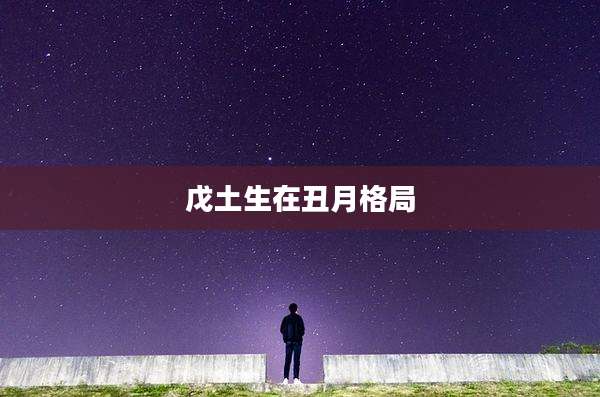 戊土生在丑月格局