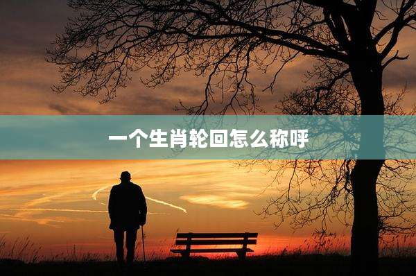一个生肖轮回怎么称呼