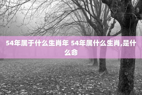 54年属于什么生肖年 54年属什么生肖,是什么命