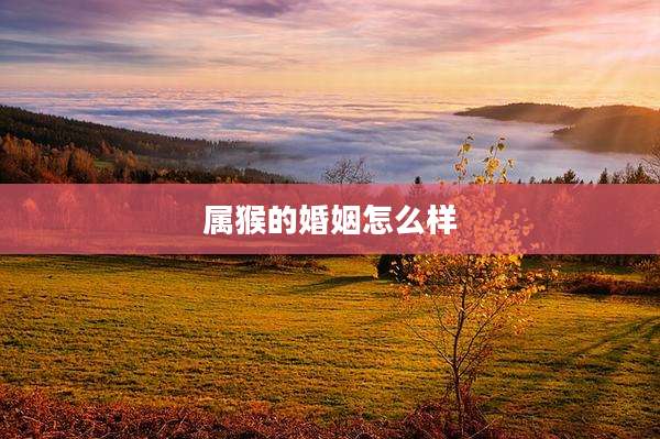 属猴的婚姻怎么样