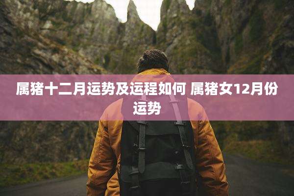 属猪十二月运势及运程如何 属猪女12月份运势