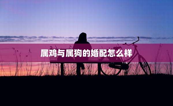 属鸡与属狗的婚配怎么样