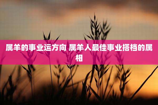 属羊的事业运方向 属羊人最佳事业搭档的属相
