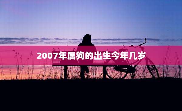2007年属狗的出生今年几岁