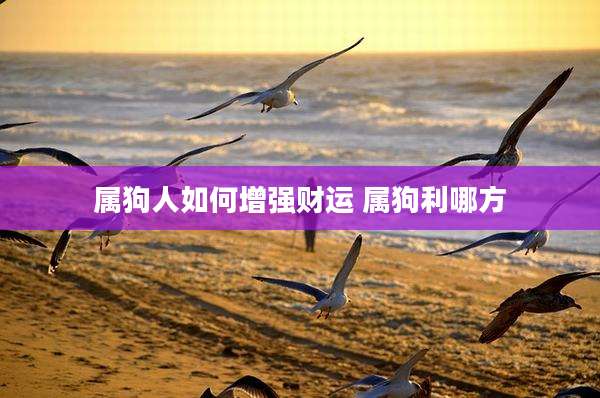 属狗人如何增强财运 属狗利哪方