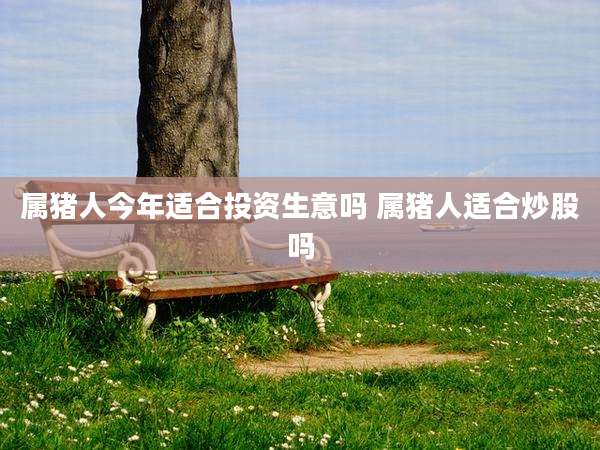 属猪人今年适合投资生意吗 属猪人适合炒股吗