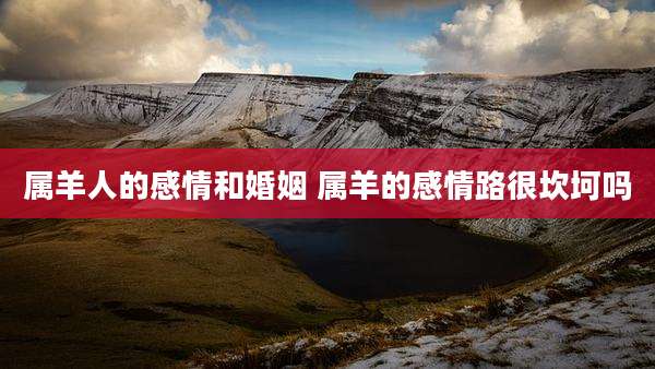 属羊人的感情和婚姻 属羊的感情路很坎坷吗
