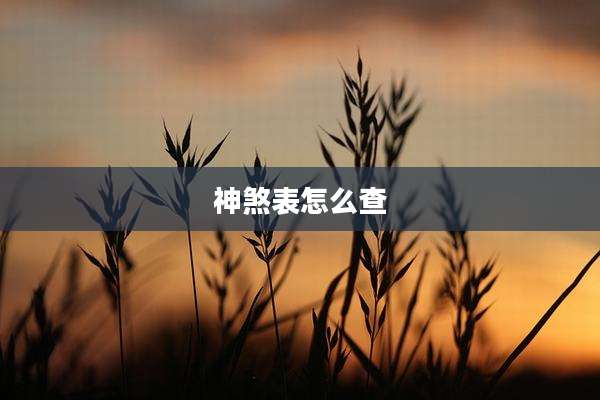神煞表怎么查