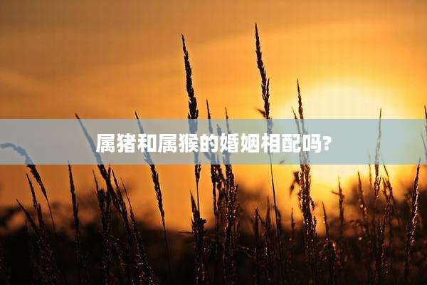 属猪和属猴的婚姻相配吗?