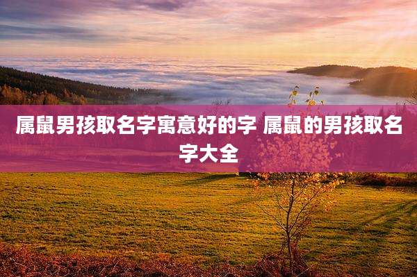 属鼠男孩取名字寓意好的字 属鼠的男孩取名字大全