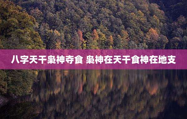 八字天干枭神夺食 枭神在天干食神在地支