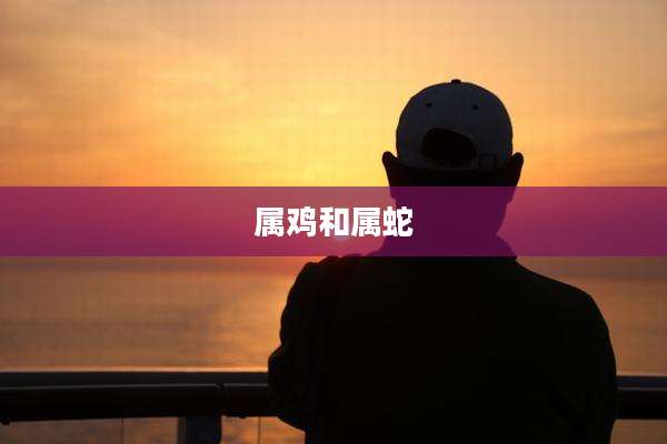 属鸡和属蛇
