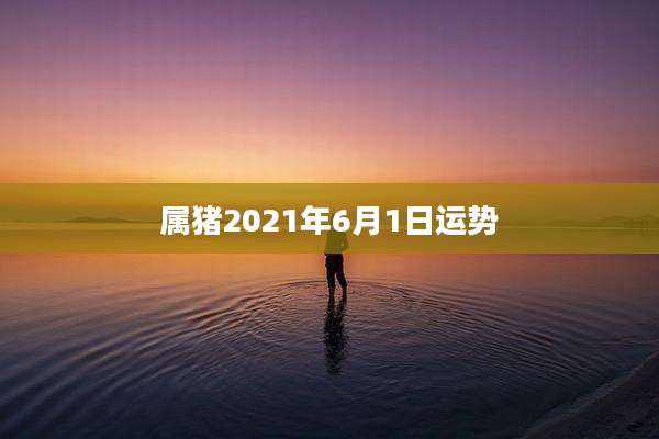 属猪2021年6月1日运势