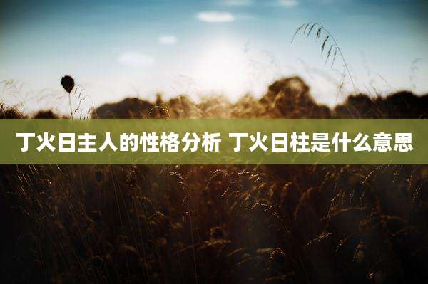 丁火日主人的性格分析 丁火日柱是什么意思