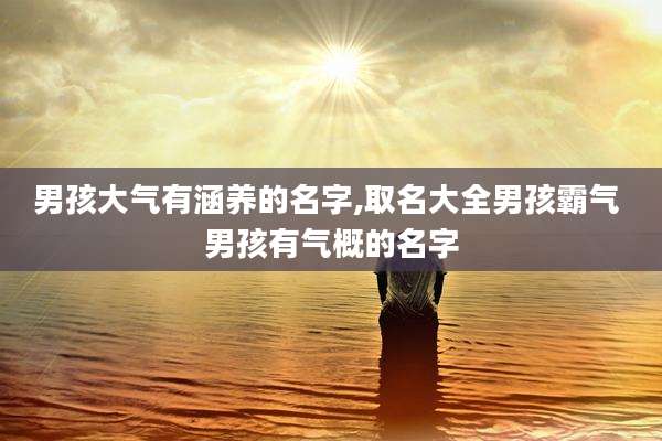 男孩大气有涵养的名字,取名大全男孩霸气 男孩有气概的名字