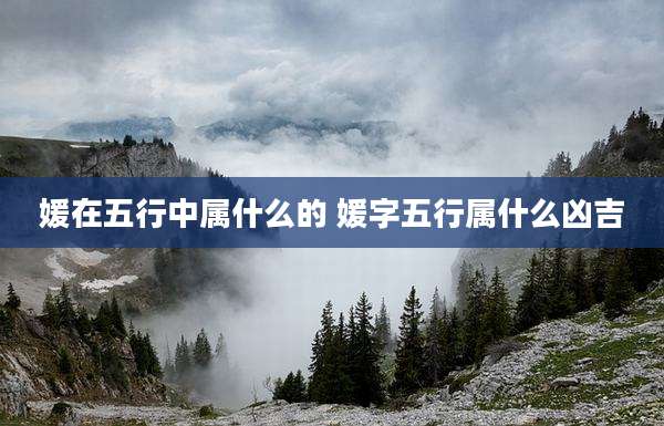 媛在五行中属什么的 媛字五行属什么凶吉
