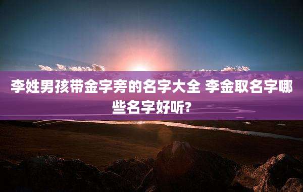 李姓男孩带金字旁的名字大全 李金取名字哪些名字好听?