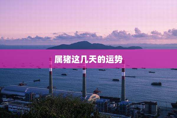 属猪这几天的运势