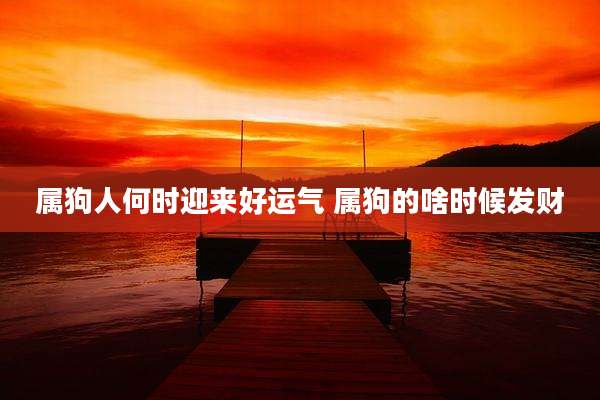 属狗人何时迎来好运气 属狗的啥时候发财