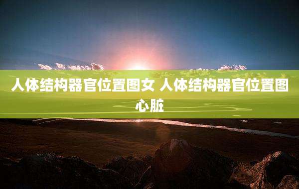 人体结构器官位置图女 人体结构器官位置图心脏