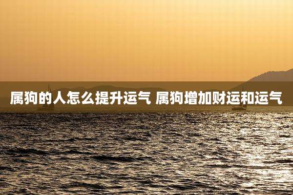 属狗的人怎么提升运气 属狗增加财运和运气