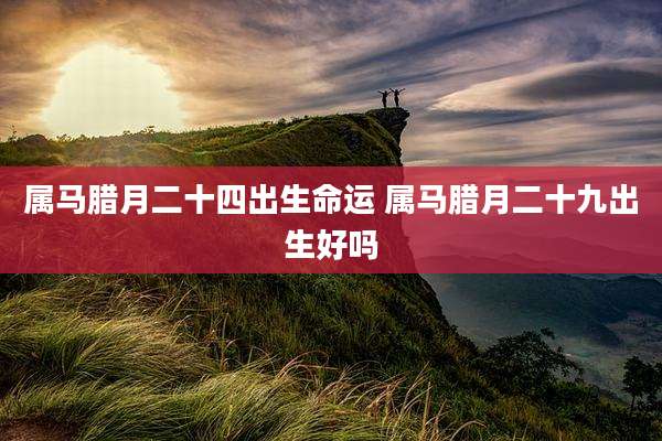 属马腊月二十四出生命运 属马腊月二十九出生好吗